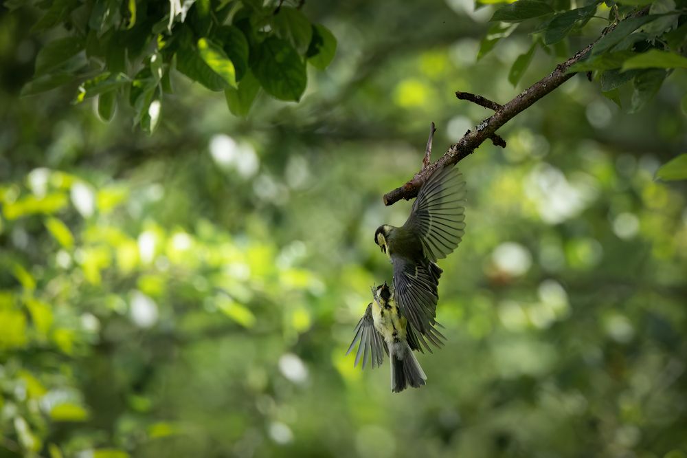 Photograph by Галина Павлова