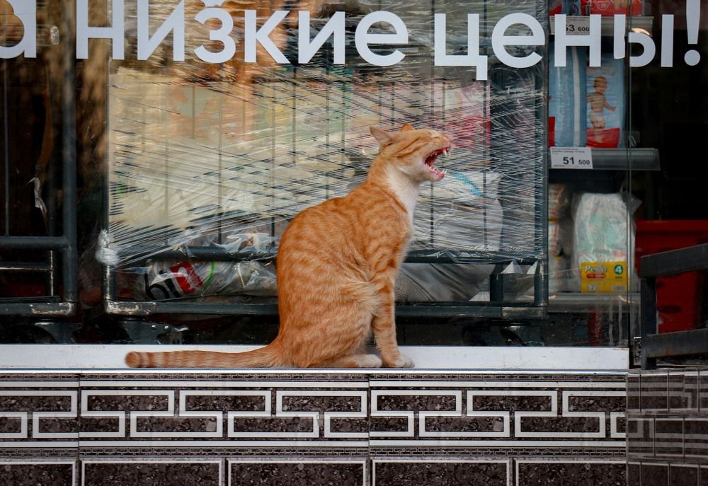 "Низкие цены"