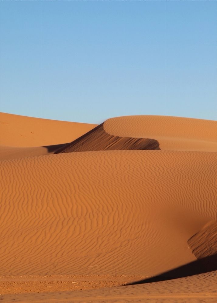 Photograph by Leo Tujak