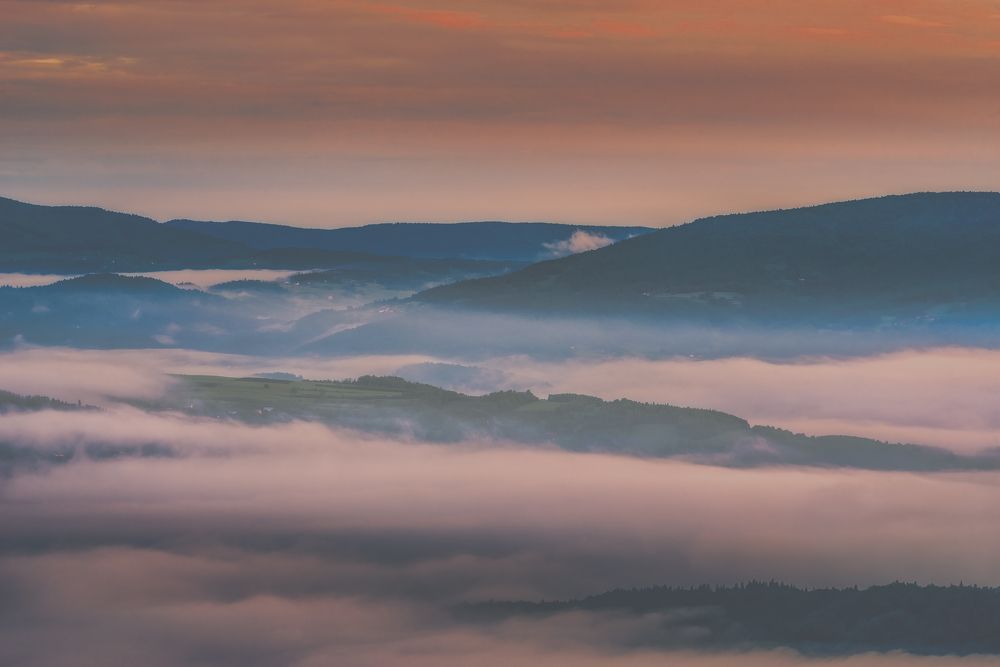 Photograph by Budyta Dariusz