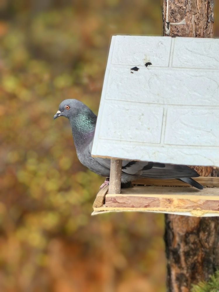 Photograph by OLGA MIKHNEVICH