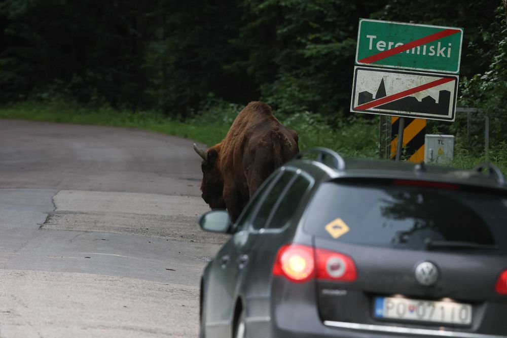 Photograph by Jakub Elias