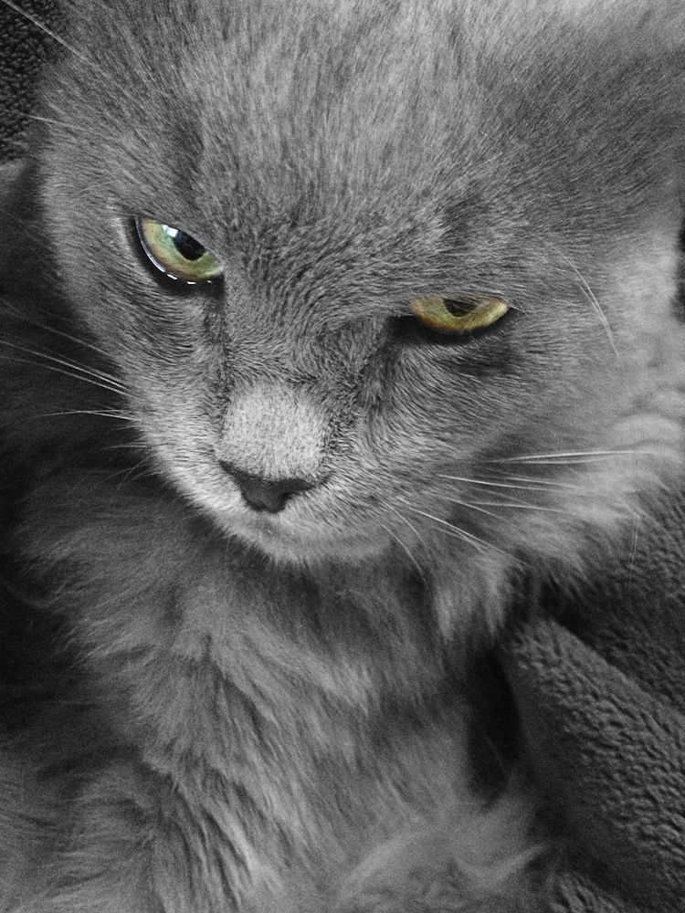 Photograph by Евкин Сергей