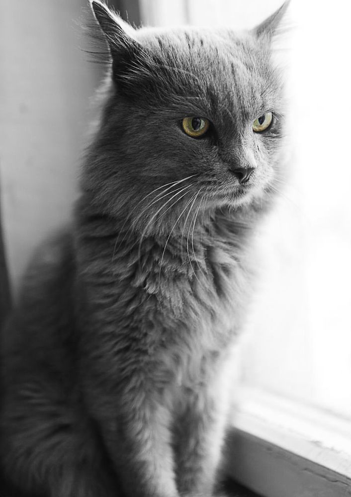 Photograph by Евкин Сергей