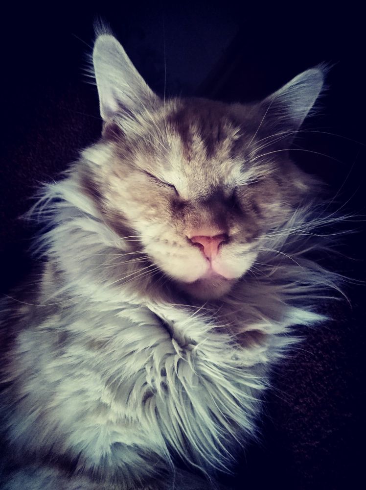 Photograph by НаталиЯ К