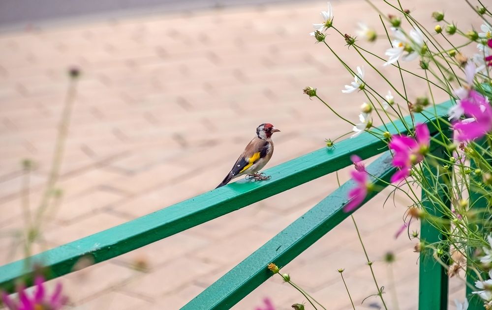 Photograph by Валерий Клейменов