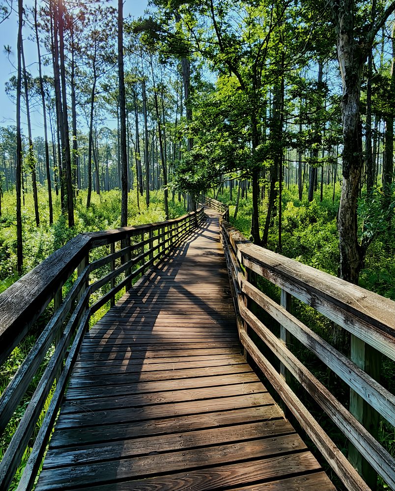 Фотография автора Jeff Cooley