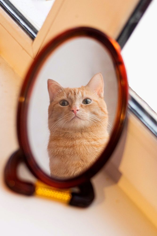 Photograph by Римма Бобрякова