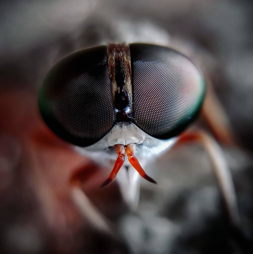 Photograph by Sonu Gupta