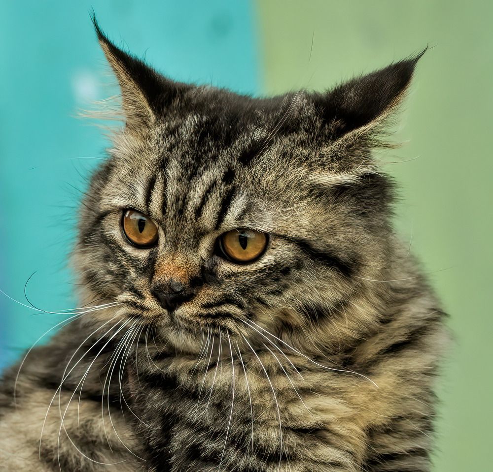 Photograph by Joko Prayitno