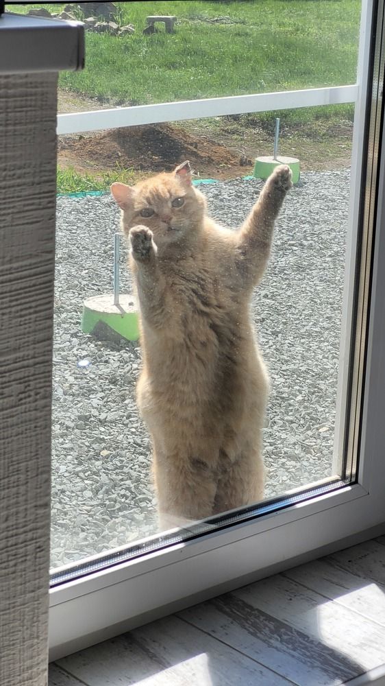 Photograph by Кайгородцев Артем