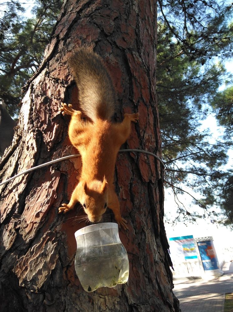 Photograph by Михаил Панфилов