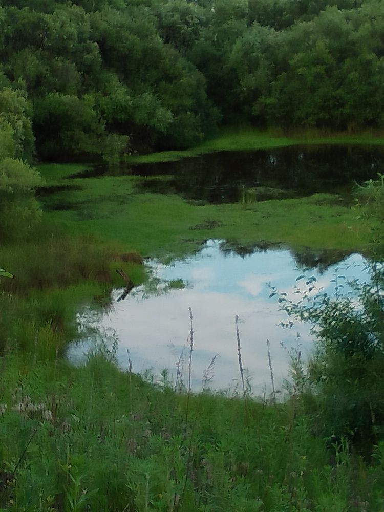 Photo #10808722