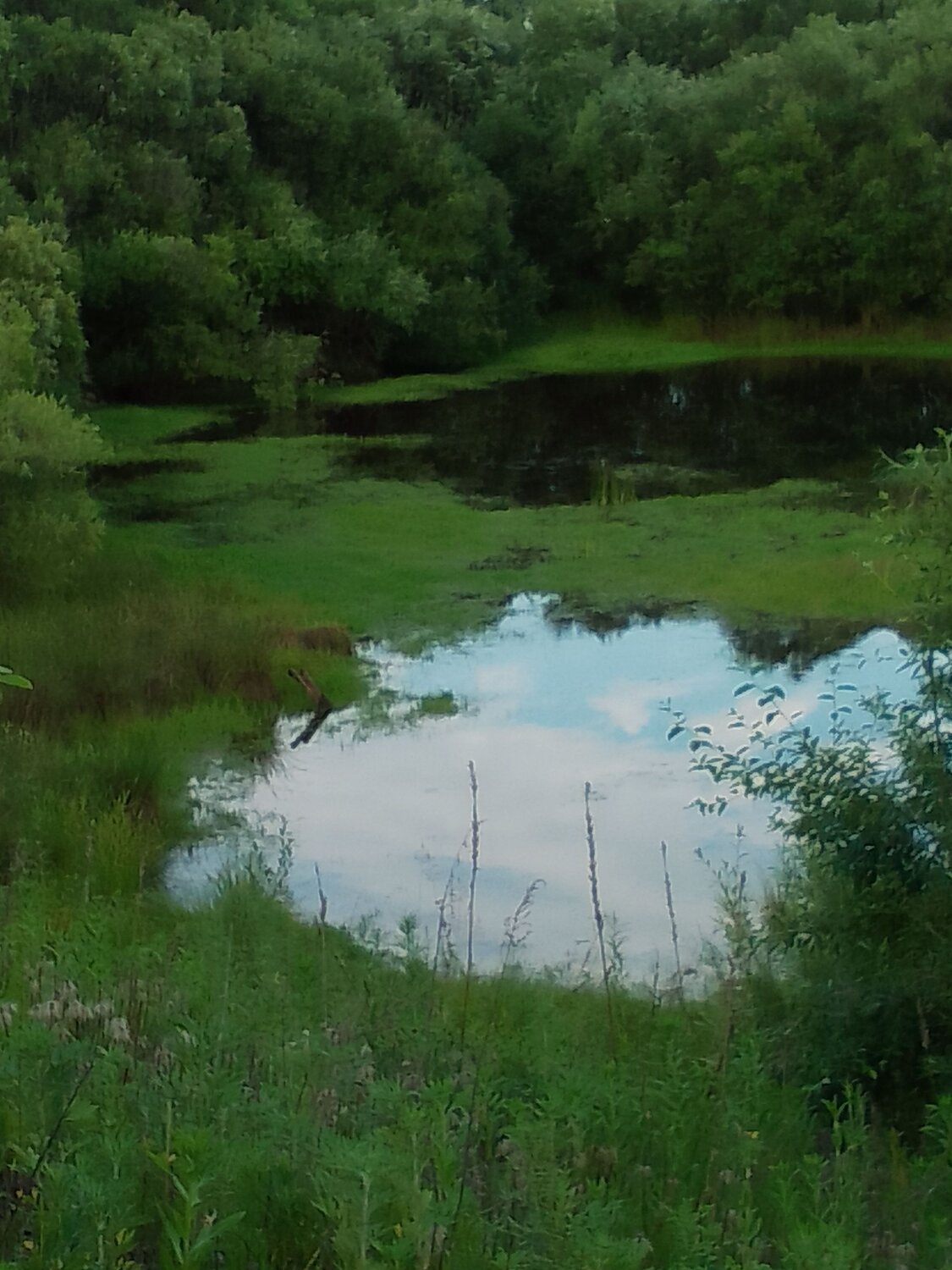 Photo #10808722