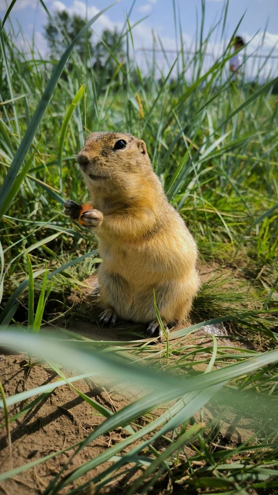 Photograph by Сергей Подлевский