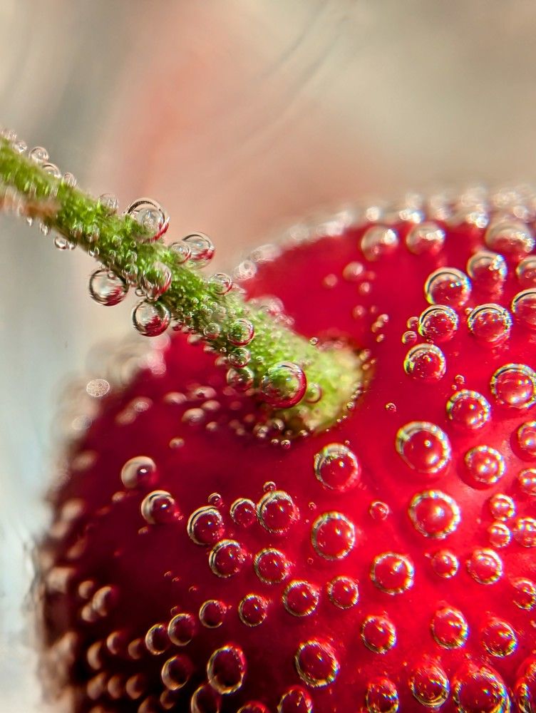 Photograph by AlexaL