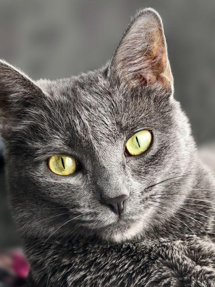 Photograph by Евгений Рудиков