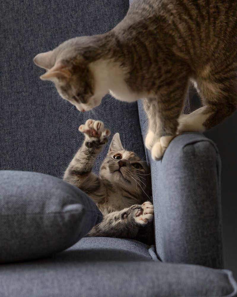 Фотография автора Christopher Cann