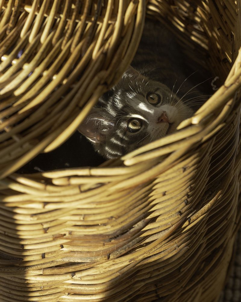 Фотография автора Christopher Cann