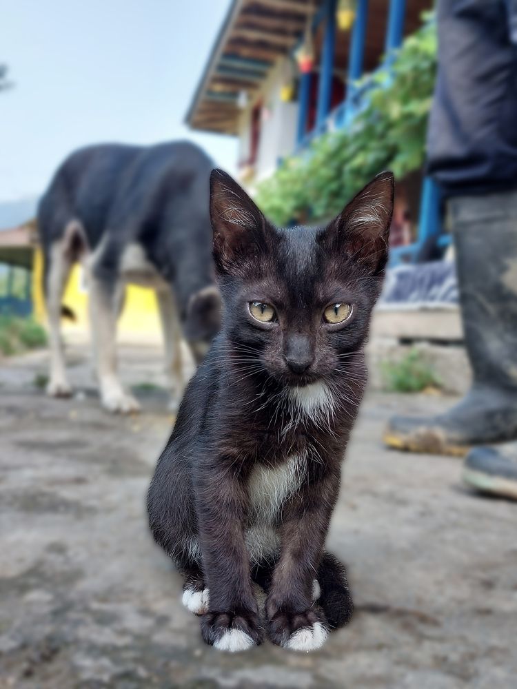 Photograph by Ali Amirkhani