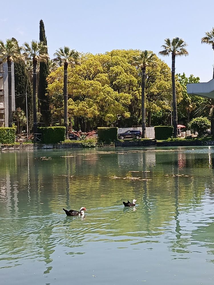 Photograph by Татьяна Пальчикова