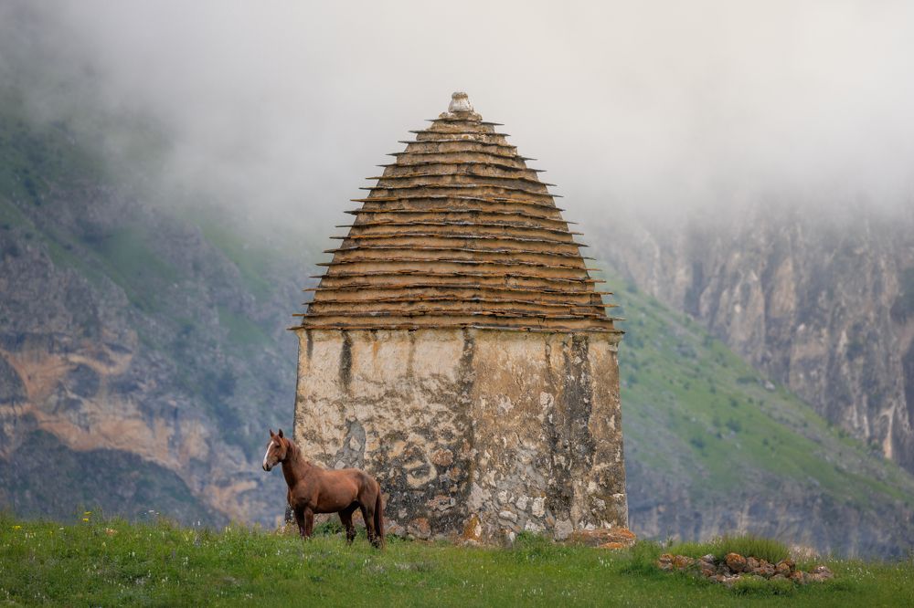 Photograph by Armen  Maitesian