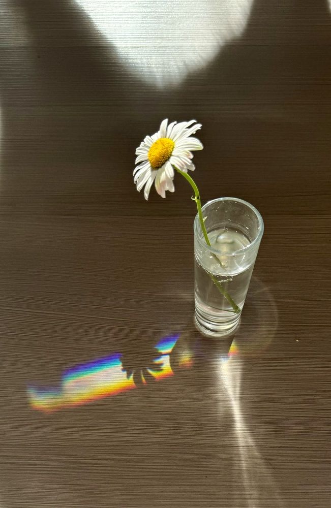 Photograph by Елена Карпухно