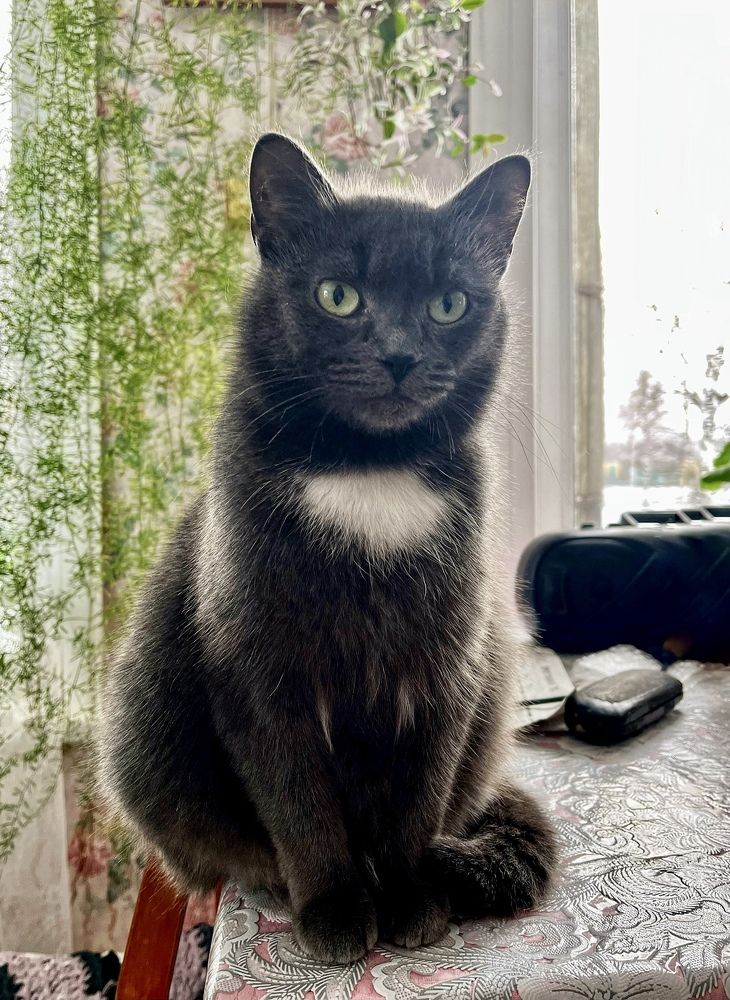 Photograph by Ирина Селиверстова