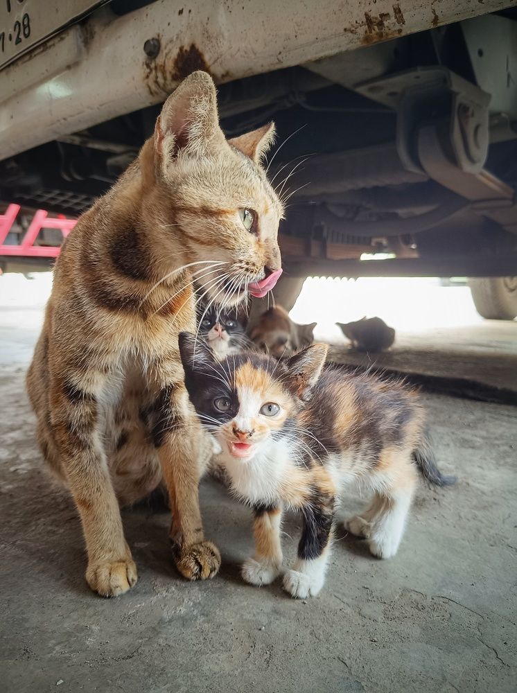 Photograph by  Oscar Simon Wiryahanjaya