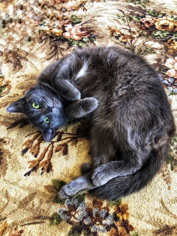 Photograph by Ирина Селиверстова