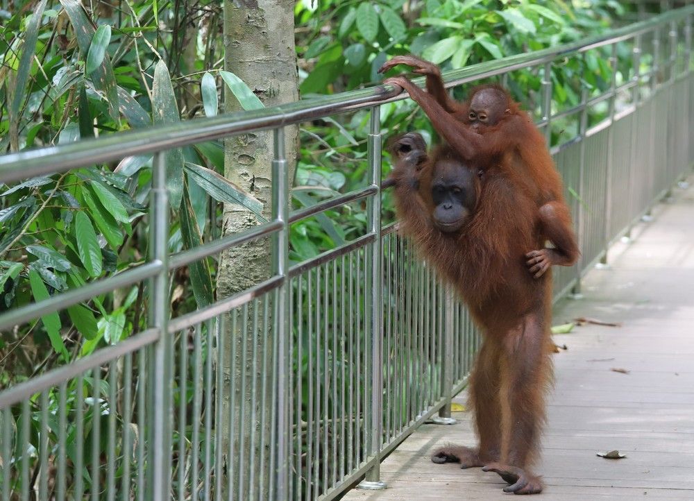 Photograph by Максимушкина Ольга