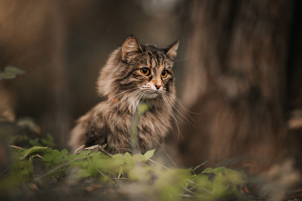 Photograph by Александр Белов