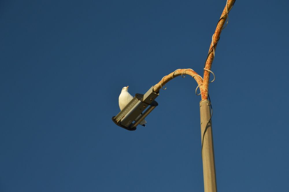 Photograph by Ольга Шевцова