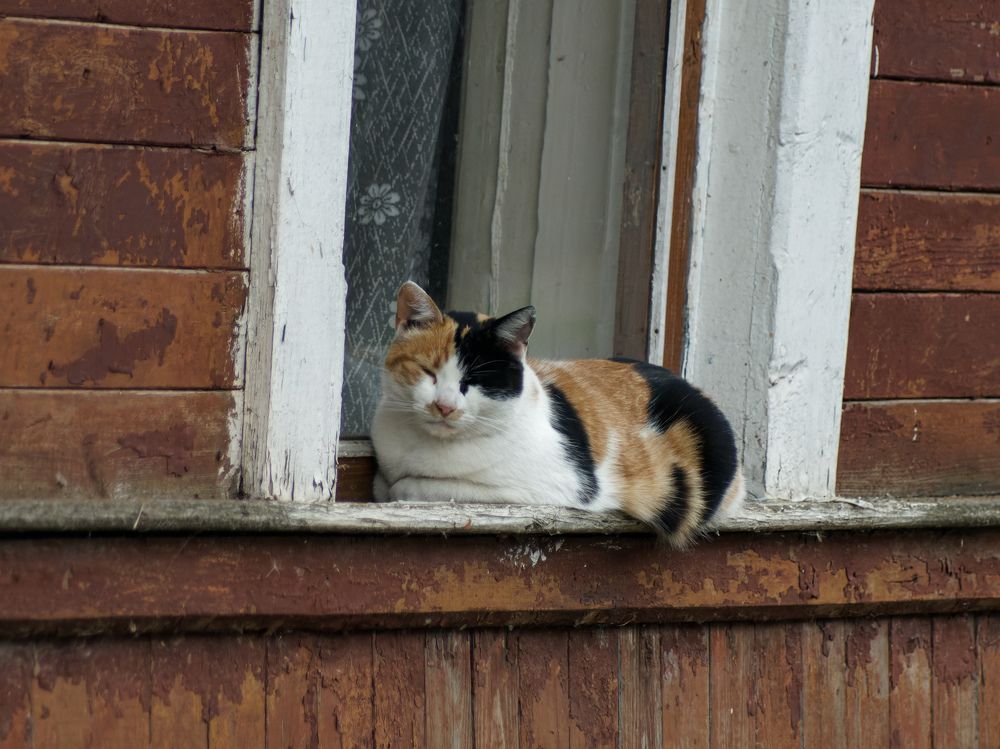 Photograph by Карина Заводчикова