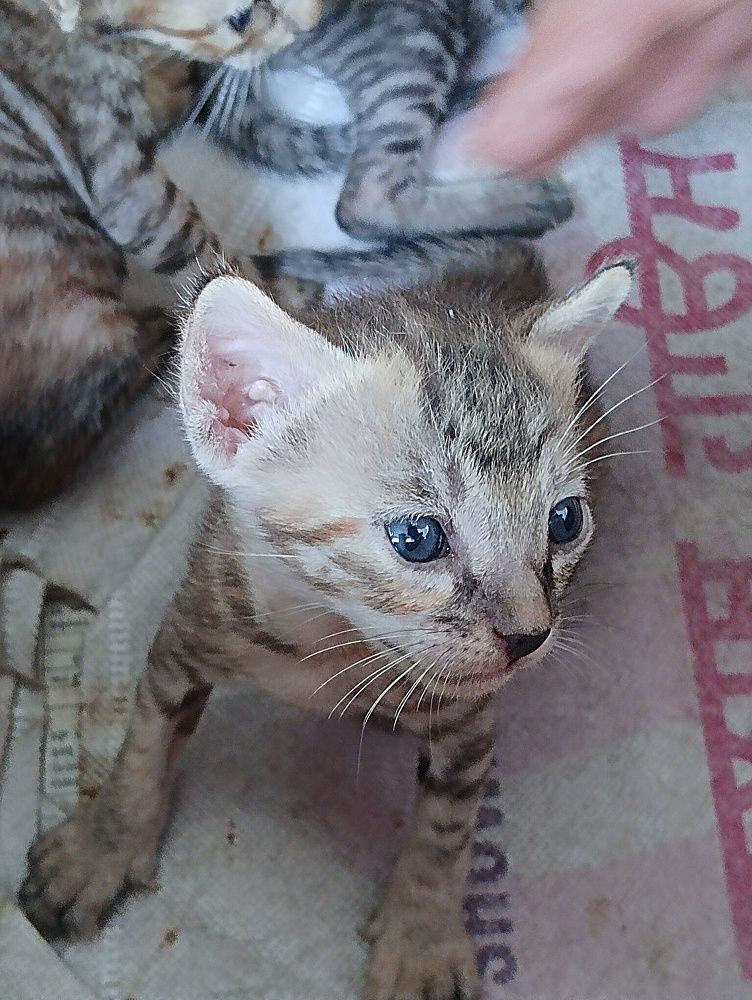 Photograph by Sumeet Kumar