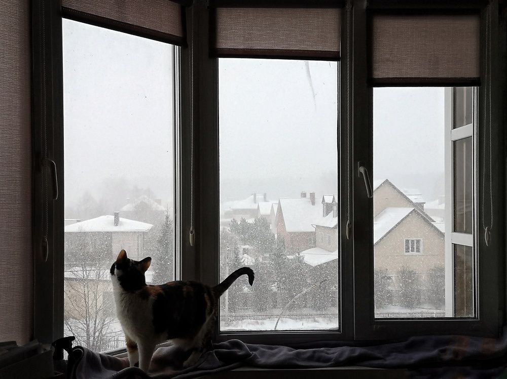 Photograph by Юлия Поликарпова