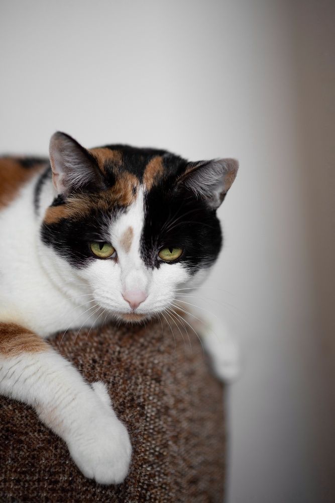 Photograph by Юлия Поликарпова