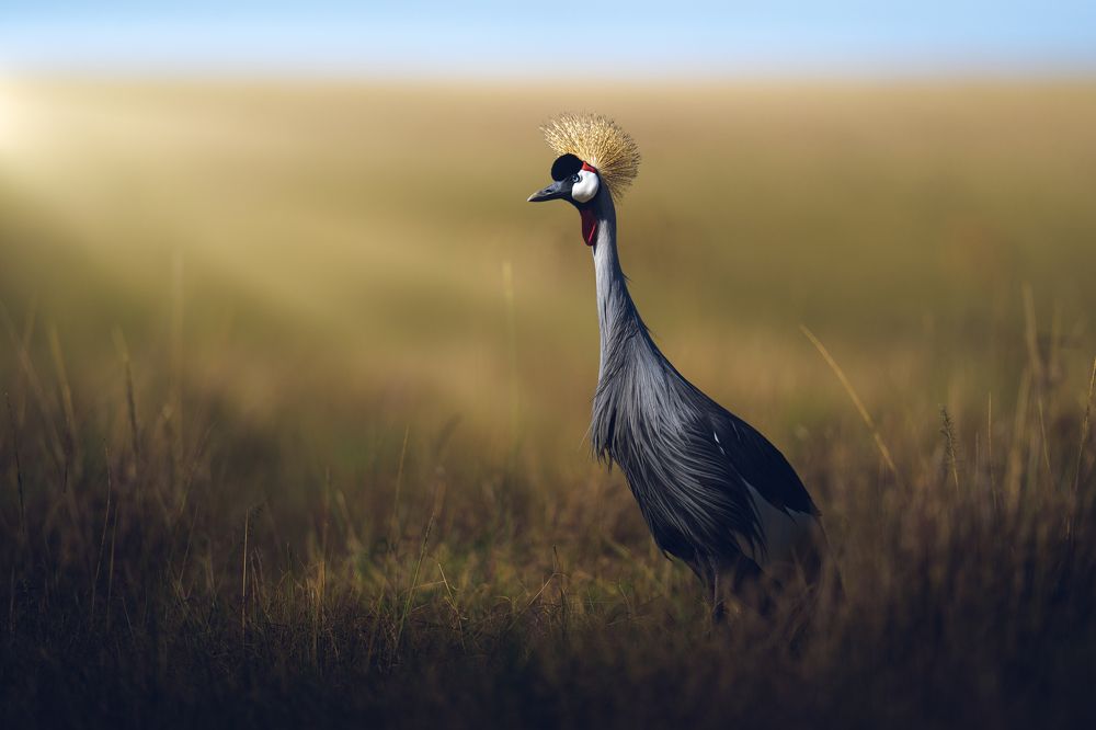 Photograph by Ahmed Sobhi