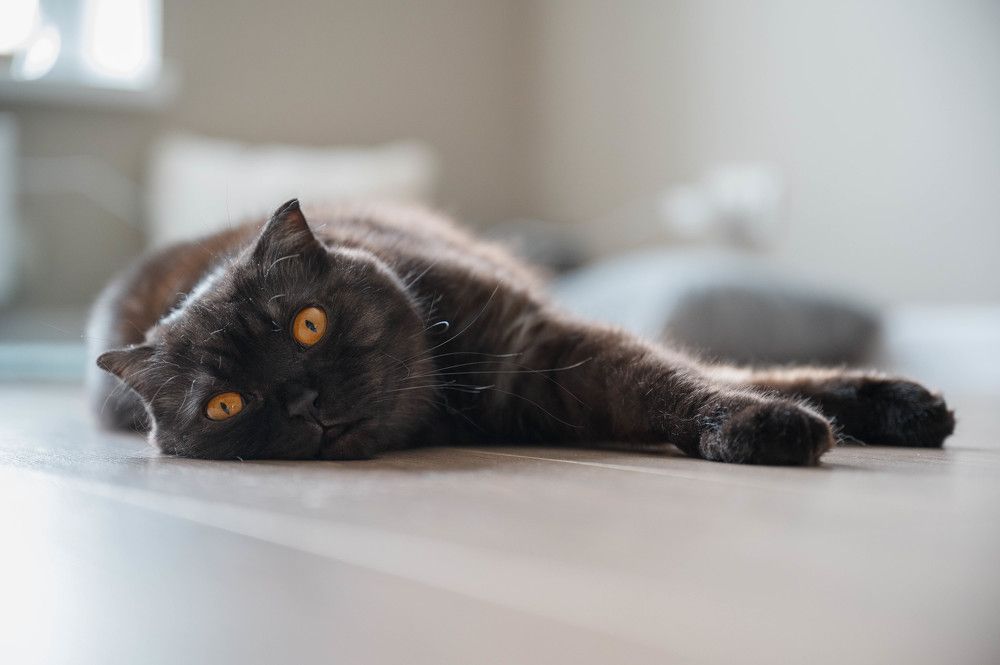 Photograph by Анастасия Жучкова