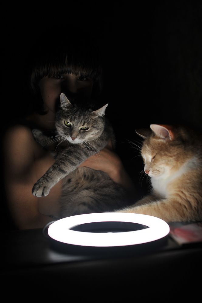 Фотография автора Ольга Пушленкова