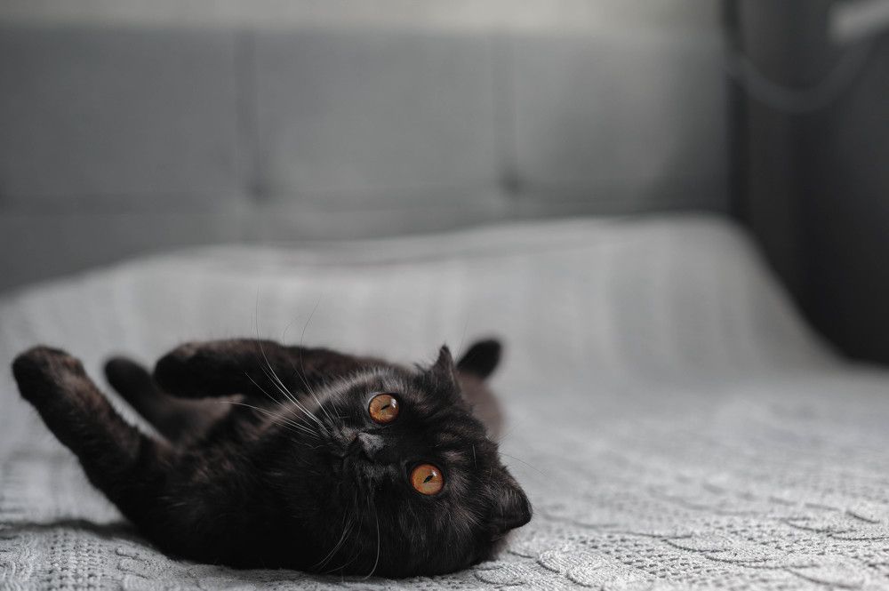 Photograph by Анастасия Жучкова