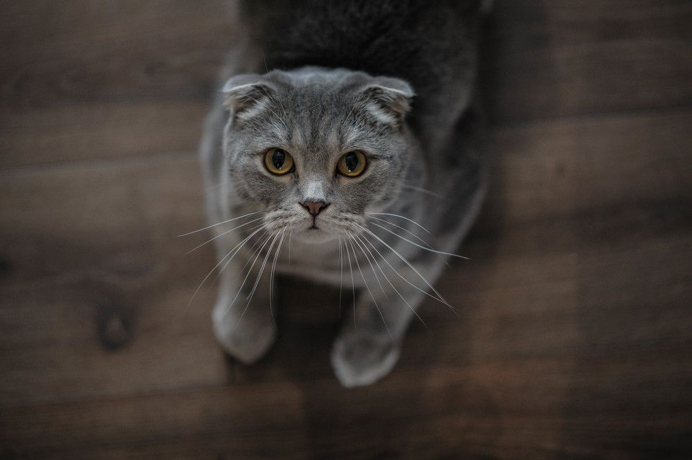 Photograph by Анастасия Жучкова