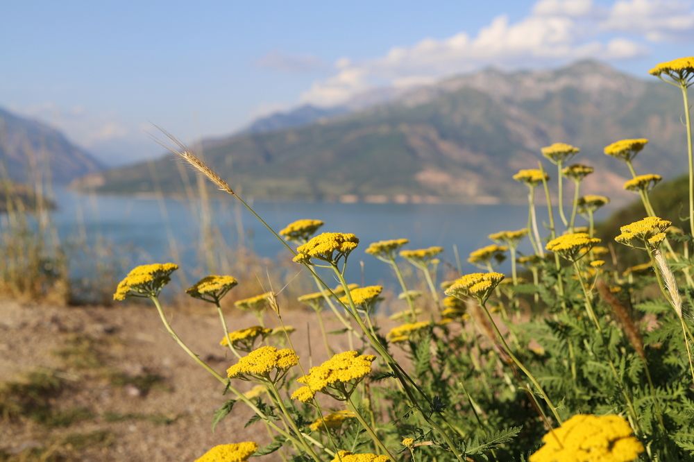 Photograph by Екатерина Брыксина