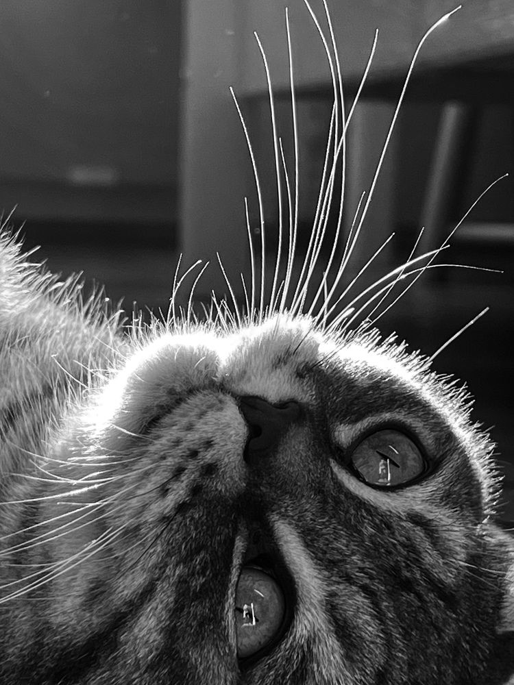 Photograph by Татьяна Черналецкая