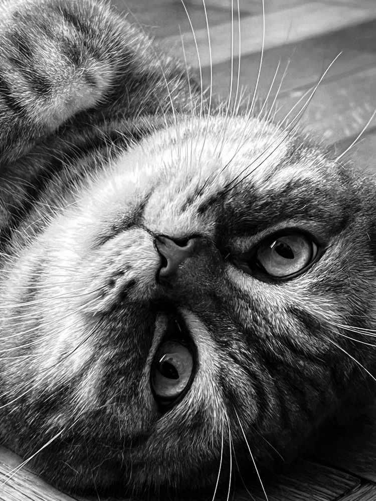 Photograph by Татьяна Черналецкая