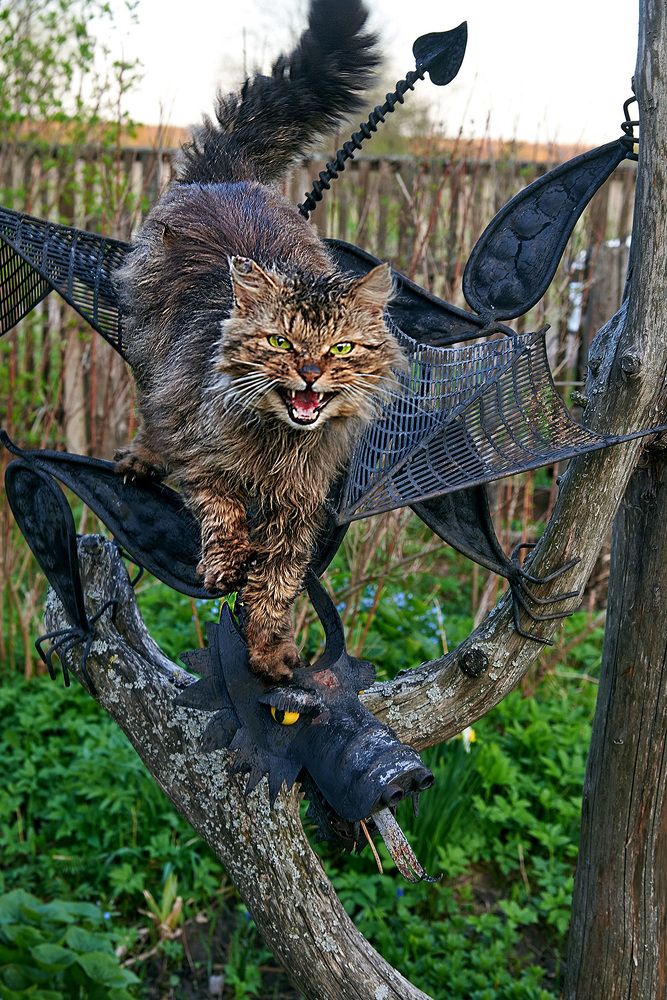 Photograph by Марина Кузьмина