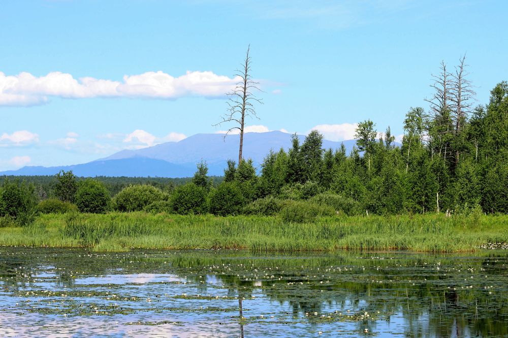 Photograph by Ирина Осипова