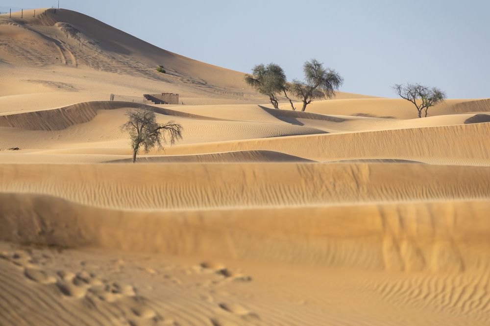 Photograph by Алексей Шматков