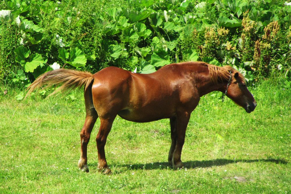 Фотография автора Нестеренко Светлана