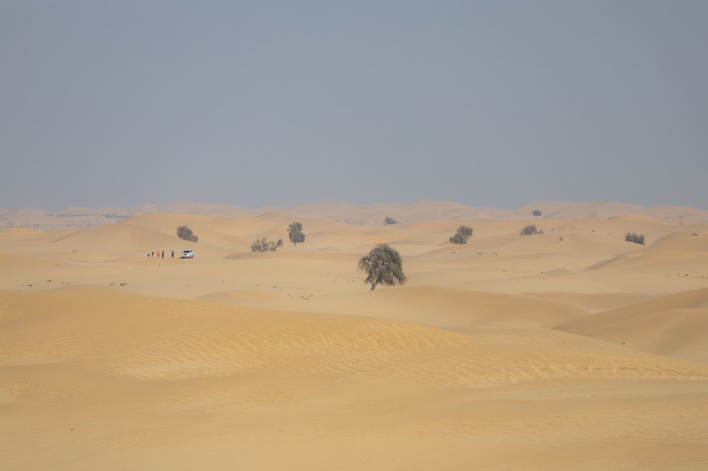 Photograph by Алексей Шматков